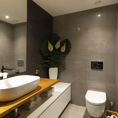 2 tons de cinza - neste wc