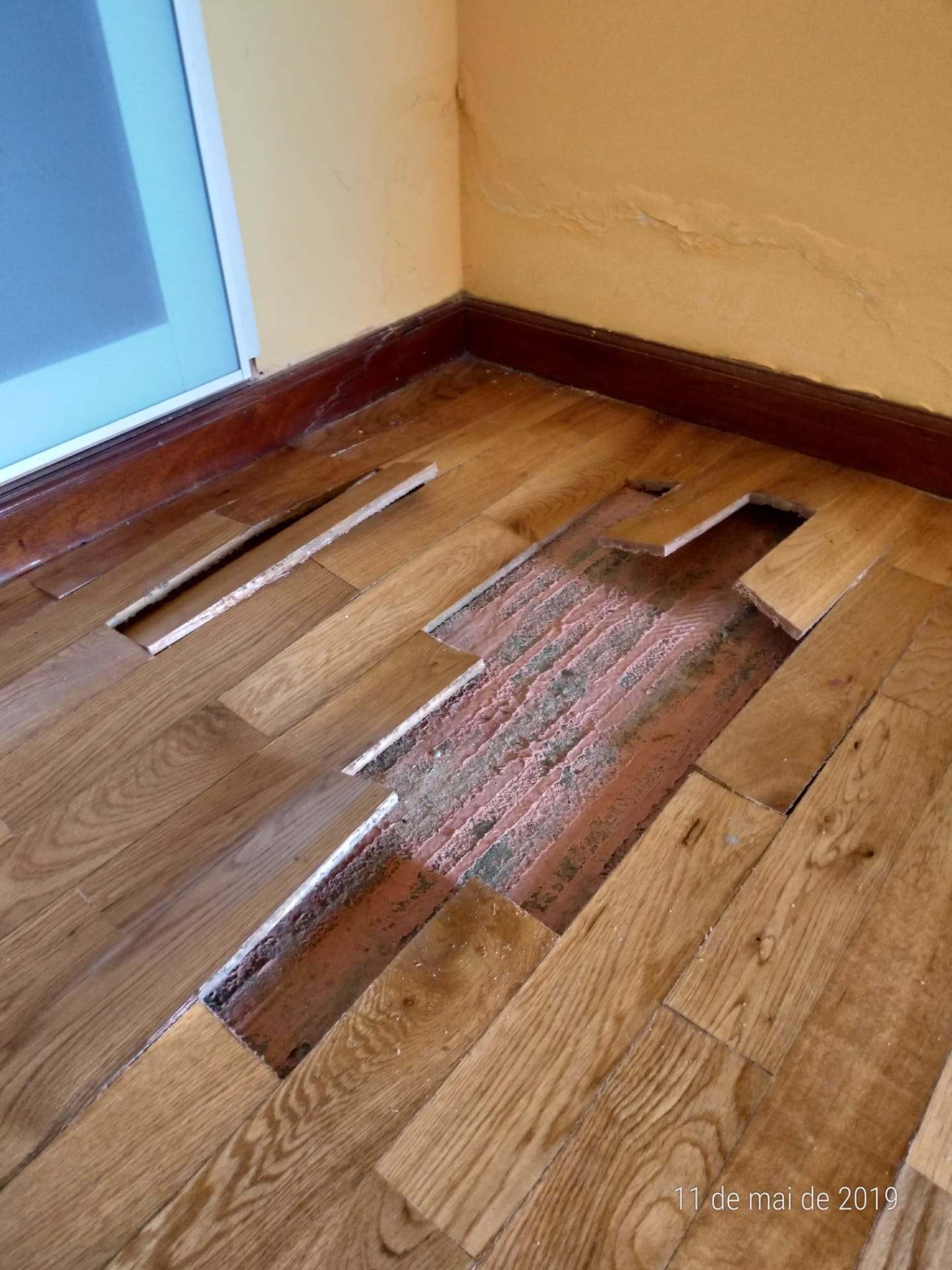 Remodelação piso de madeira