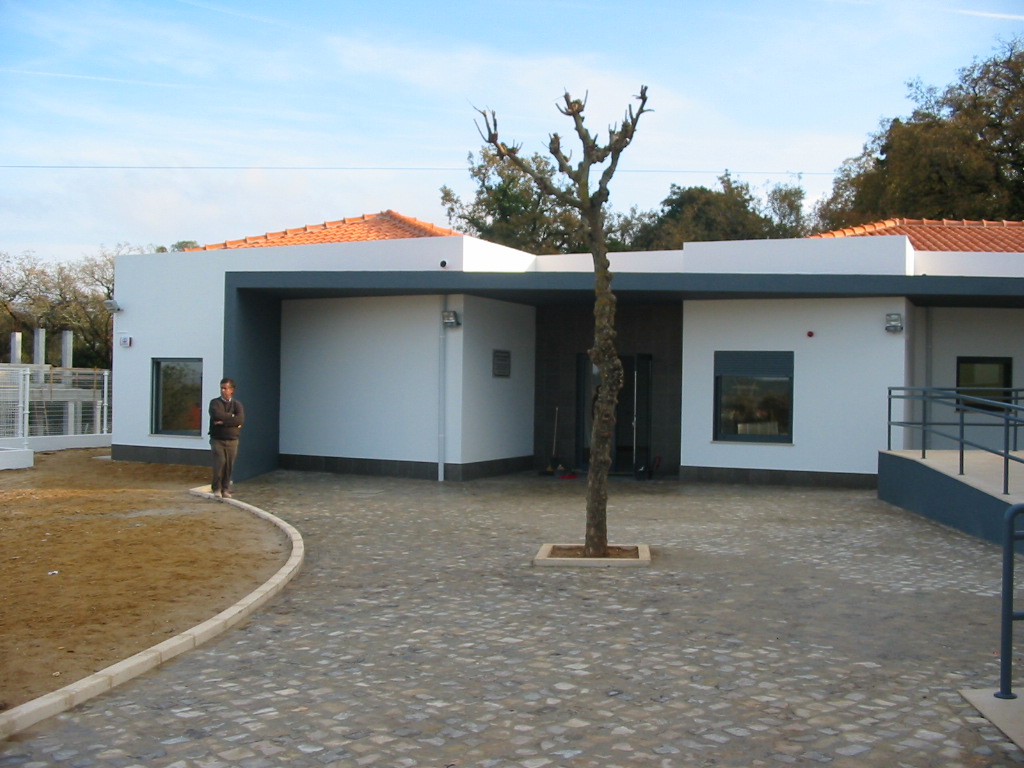Casa da Árvore_01