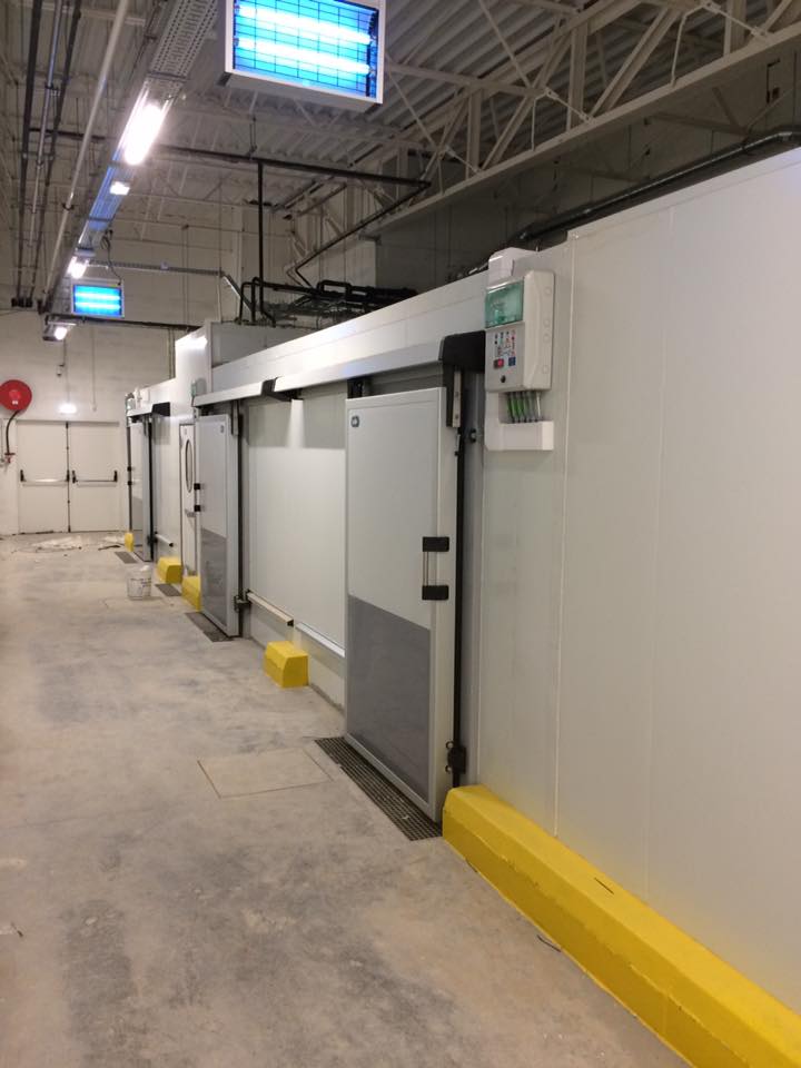 Construção Frigorífico