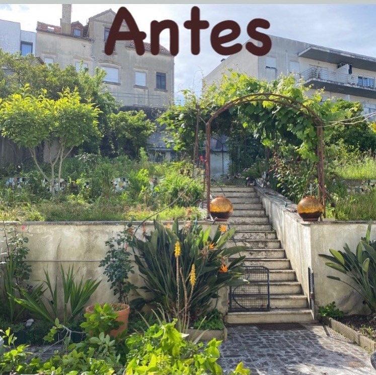 manutenção de jardim em coimbra