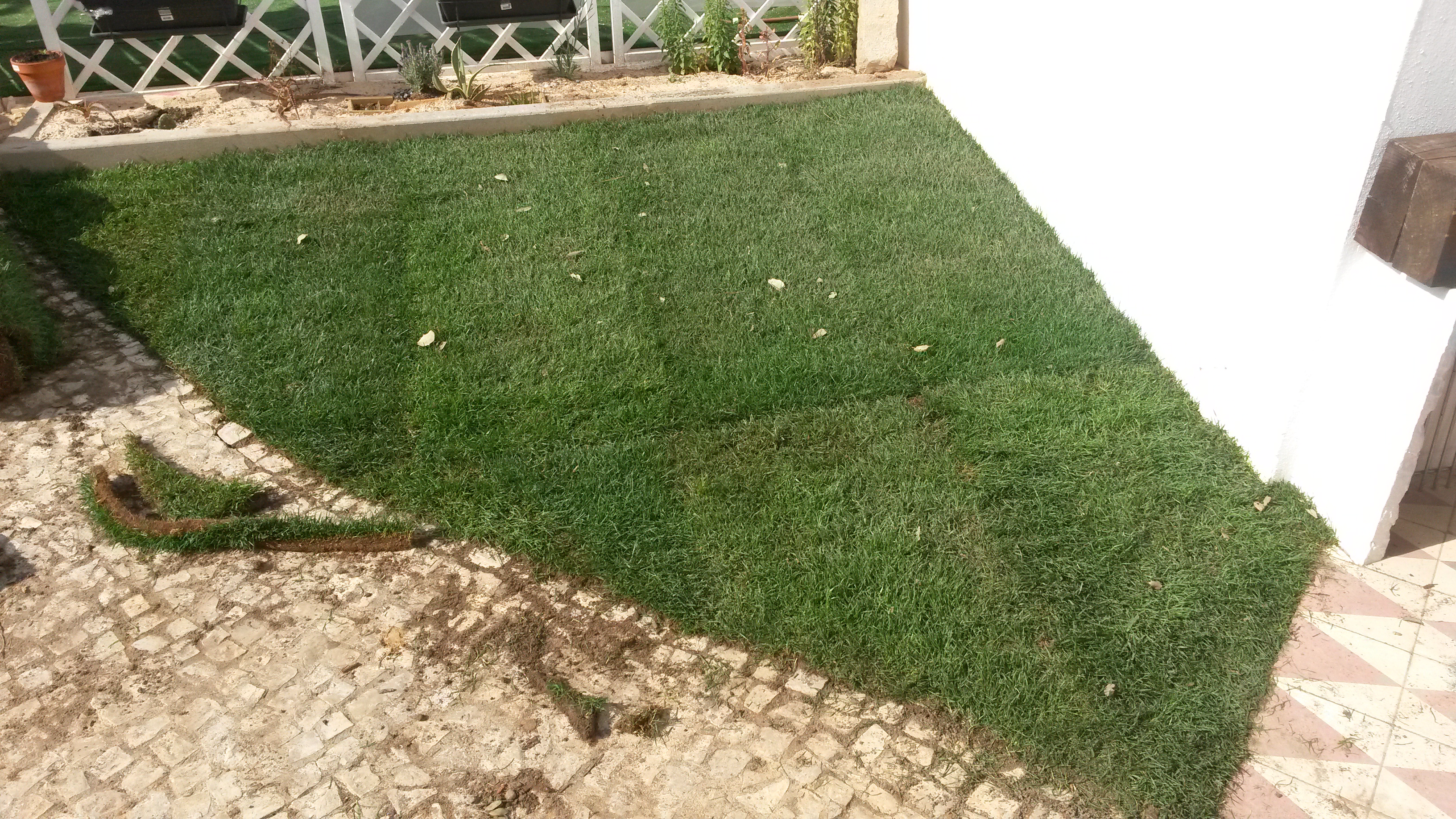 Construção de mini relvado e manutenção