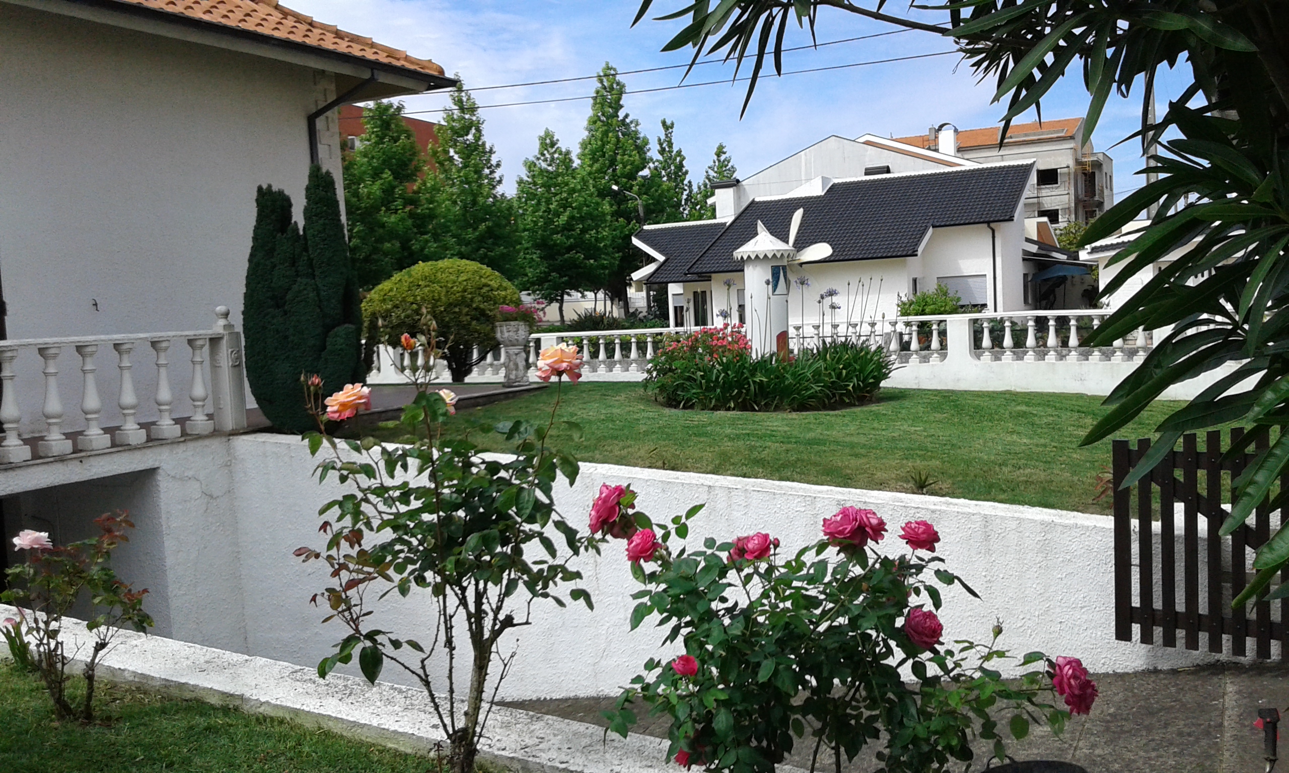 Manutenção de Jardins