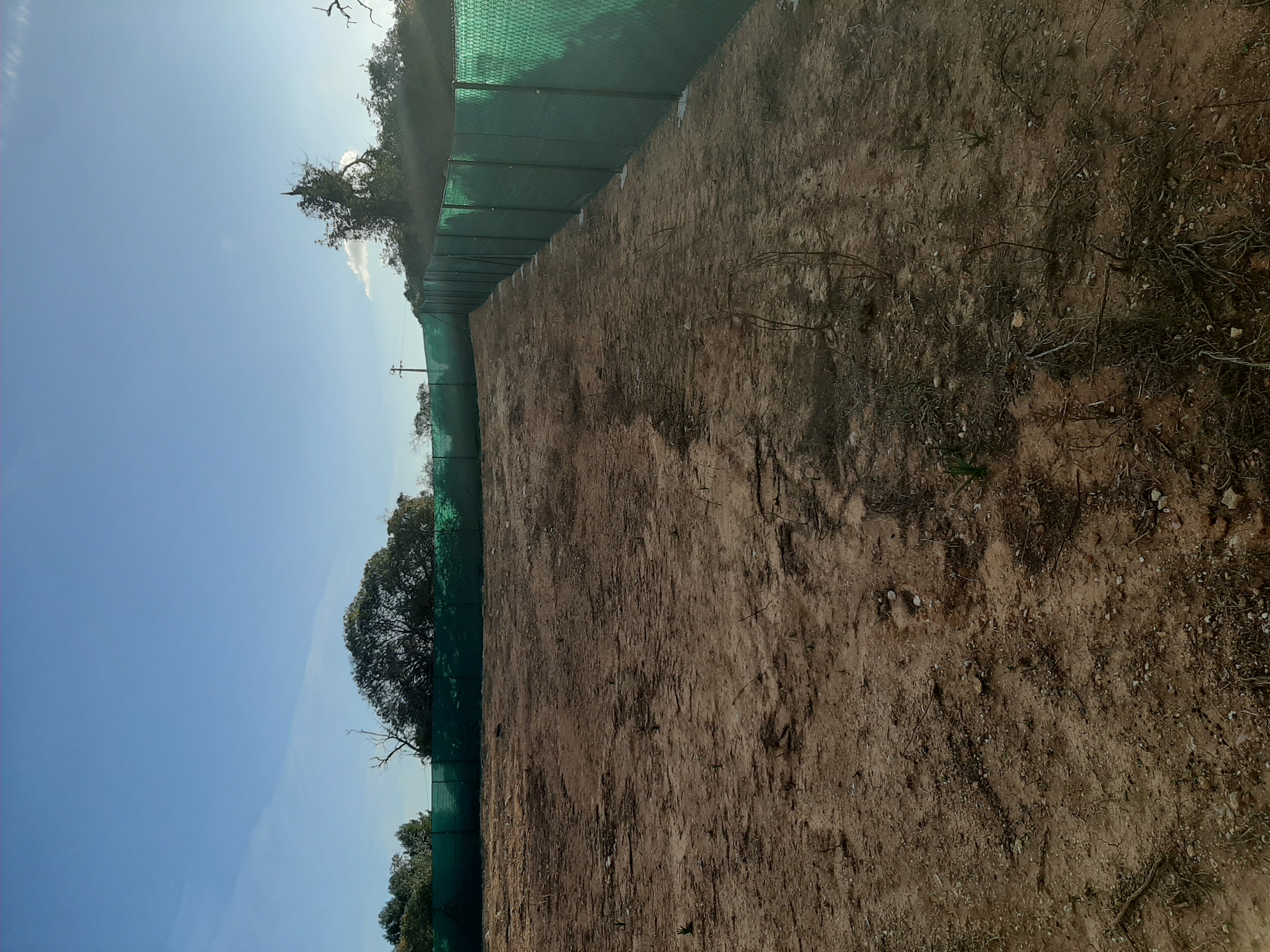 Alguns trabalhos realizados recentemente