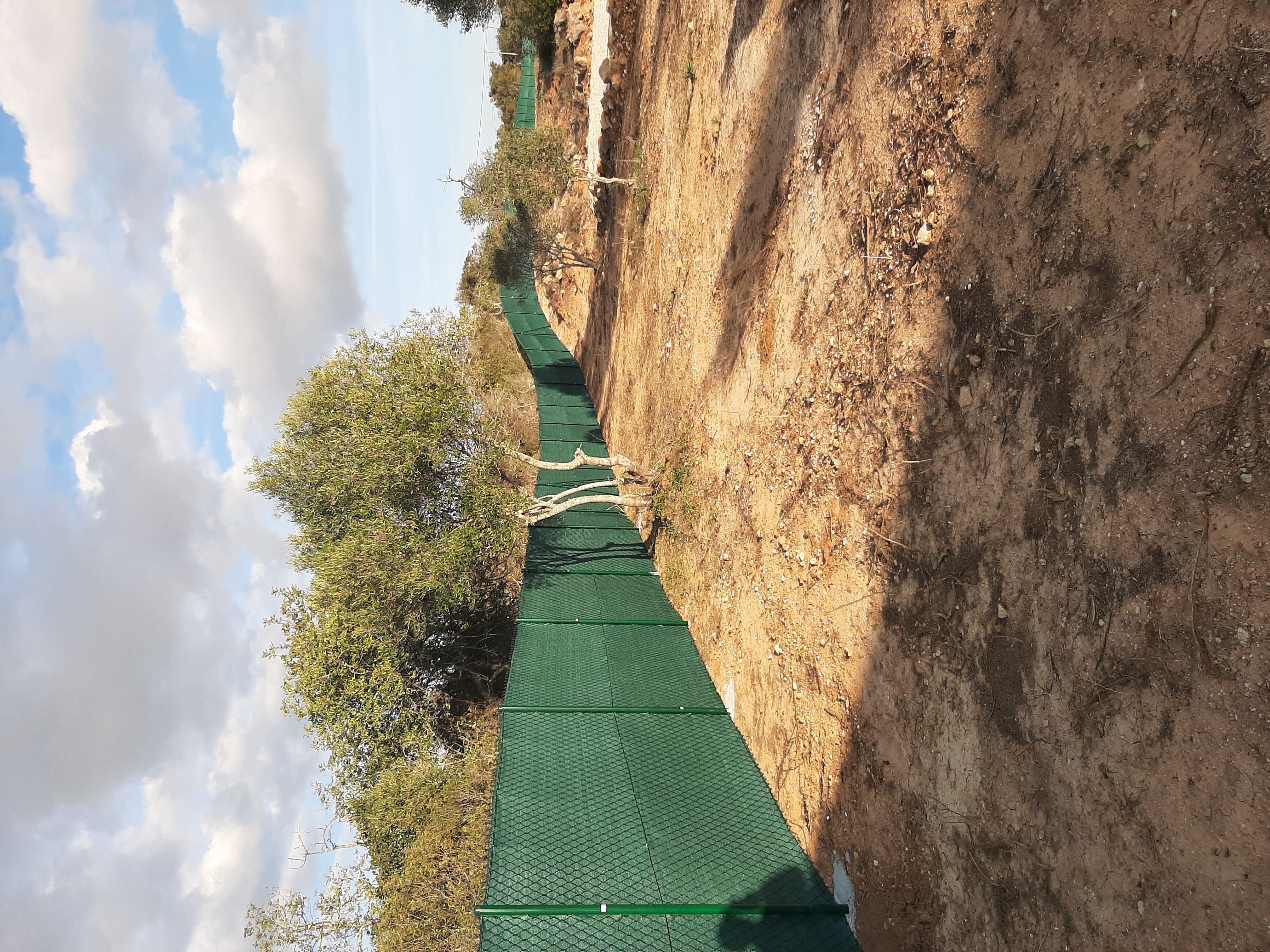 Alguns trabalhos realizados recentemente