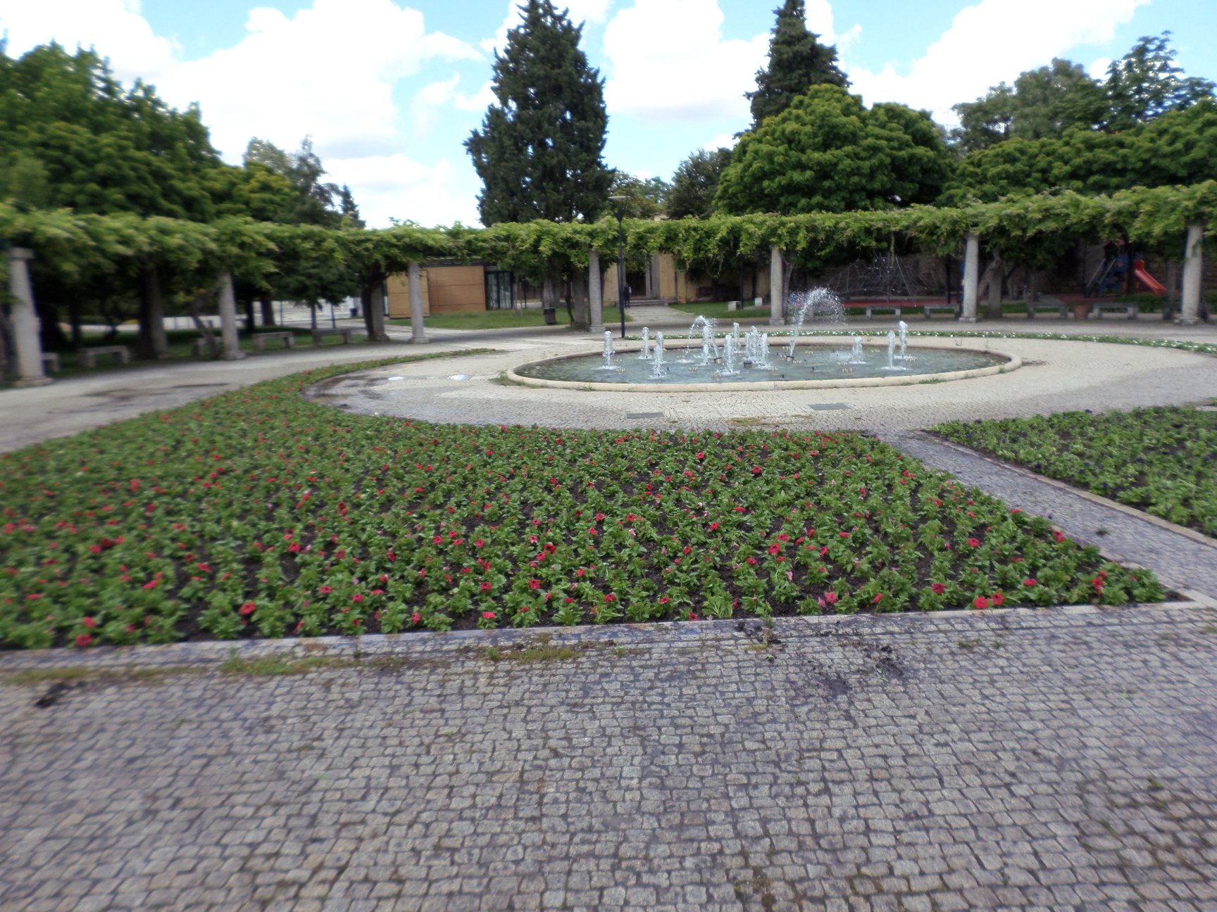 Plantação de petúnias