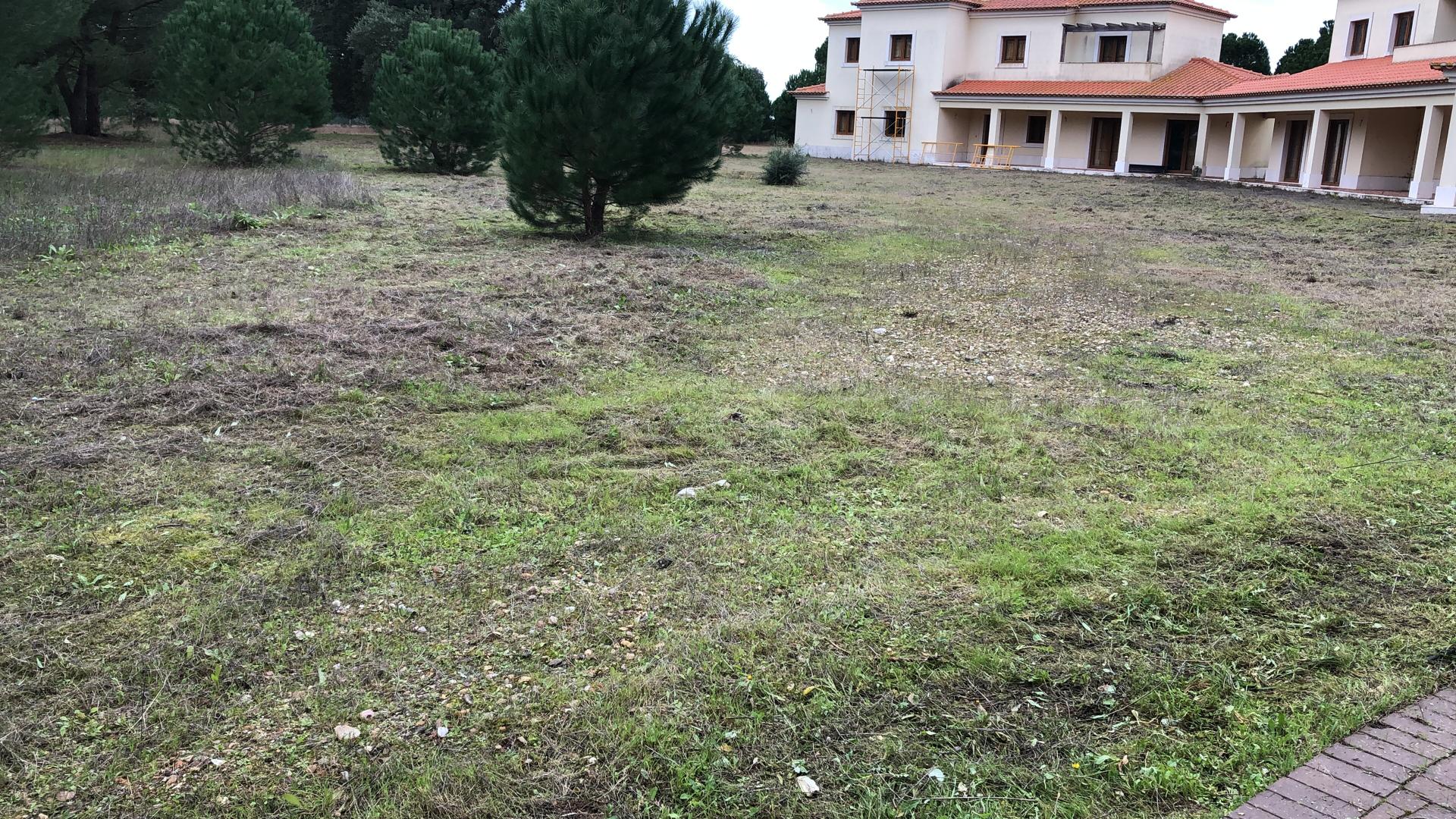 depois da limpesa em santo esteves