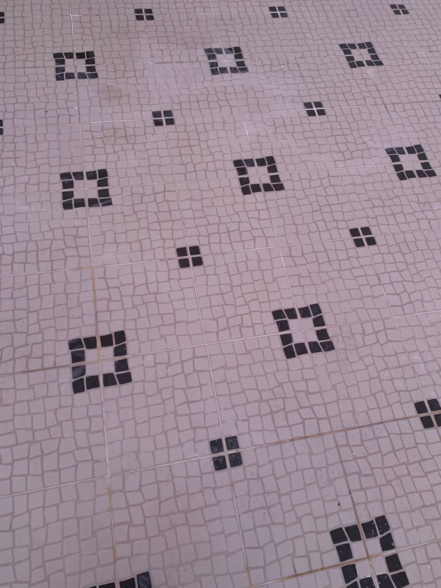 Execução d epavimento em pátio exterior