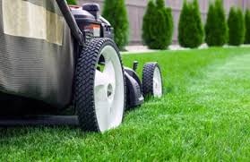 Manutenção de jardins e limpezas de terrenos