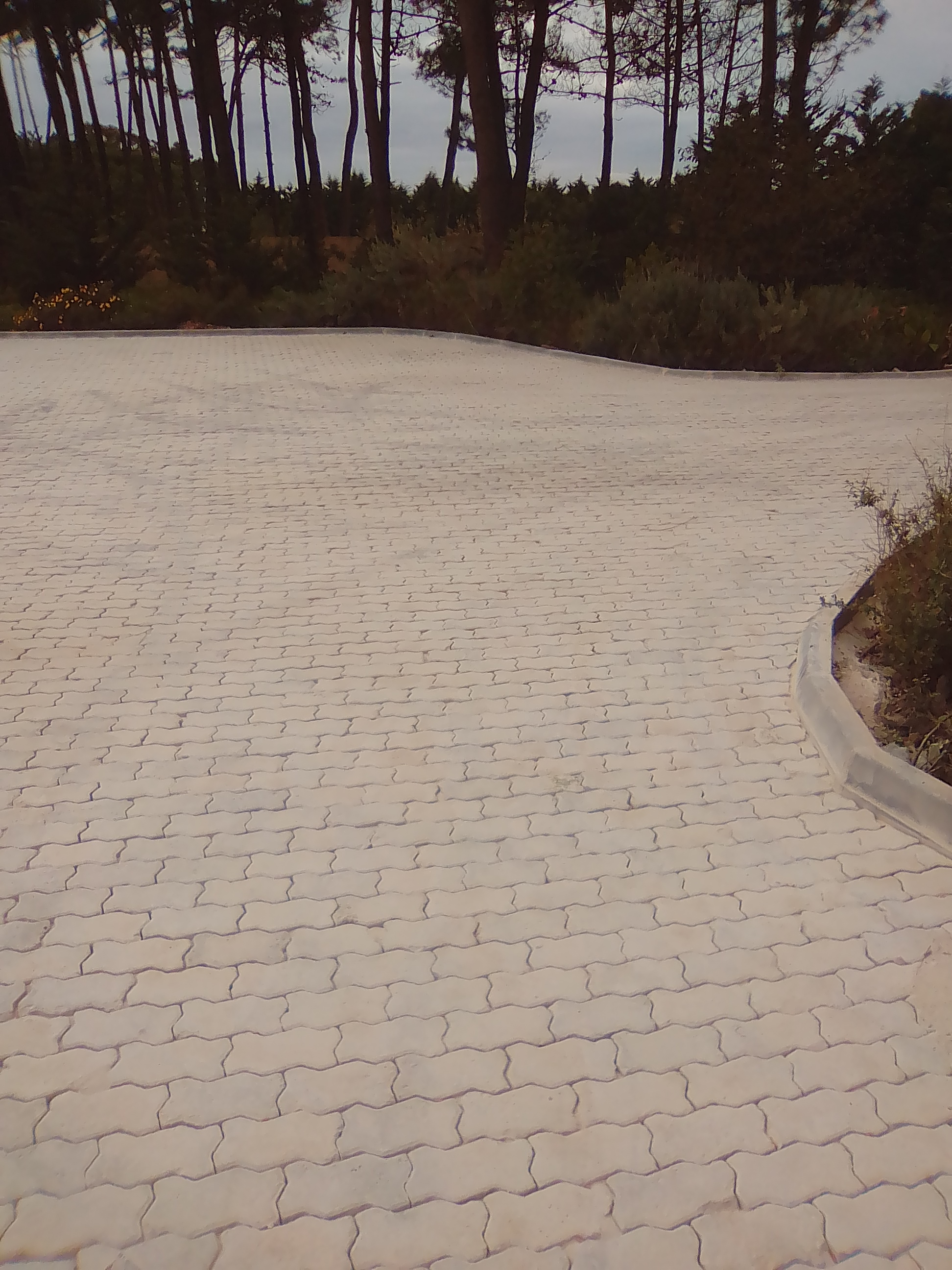 assentamento de Pavê