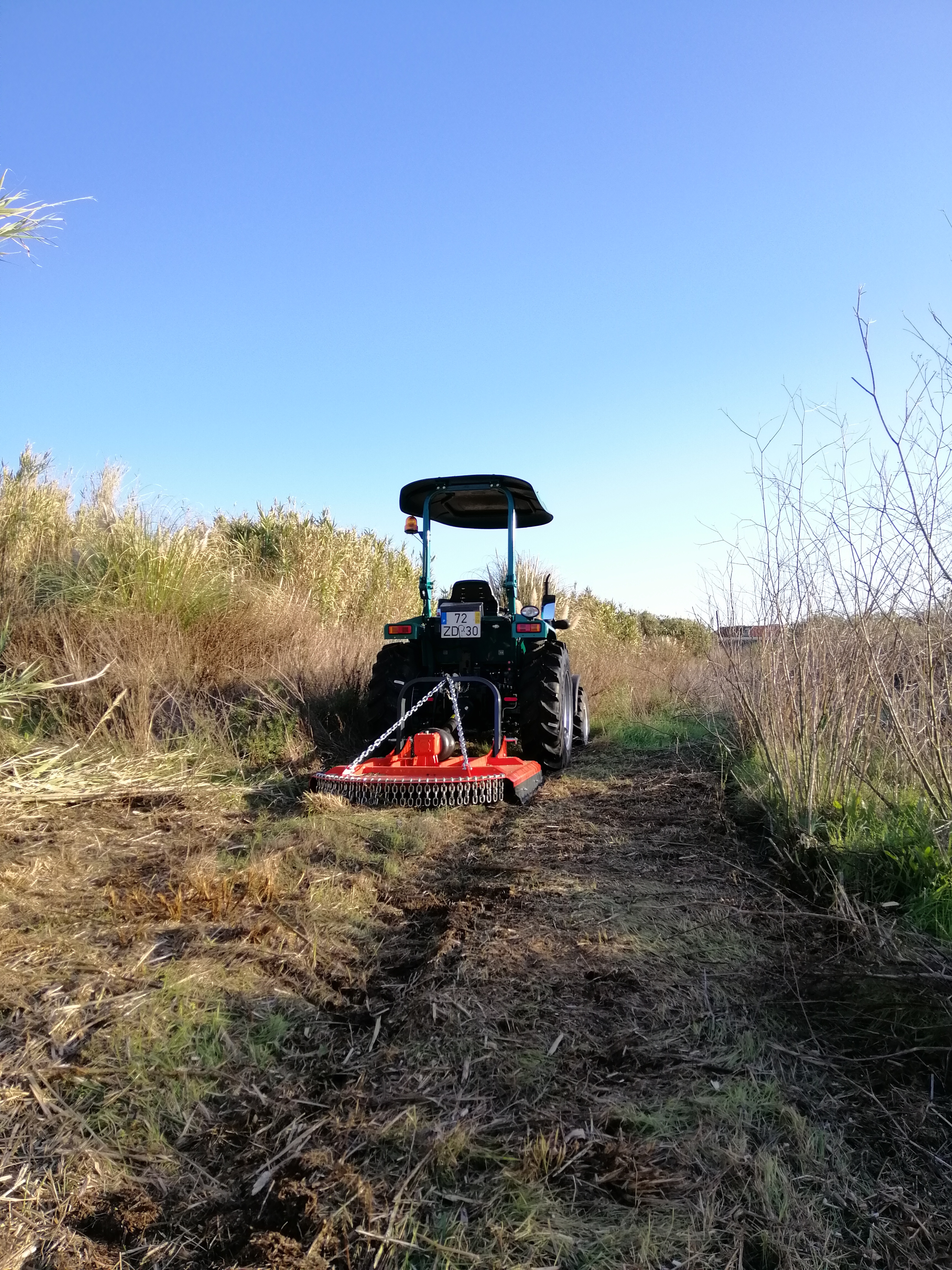 Limpeza de terreno em Mafra
