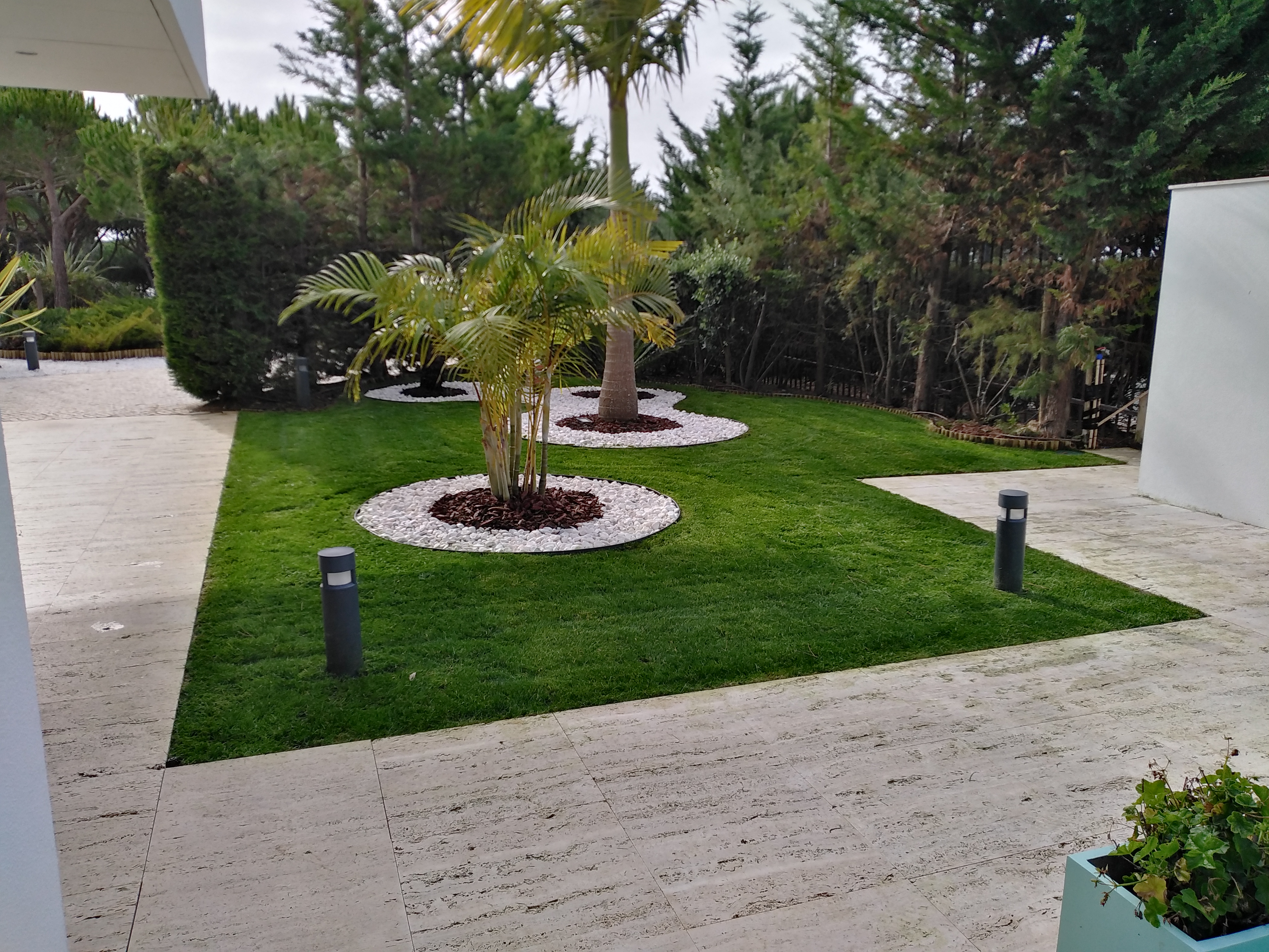 Final construção de raiz Rega/Relva