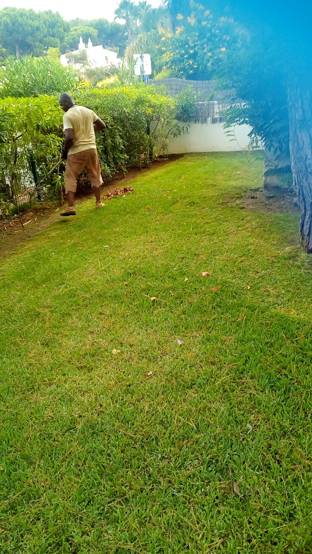 Manutenção de Jardim