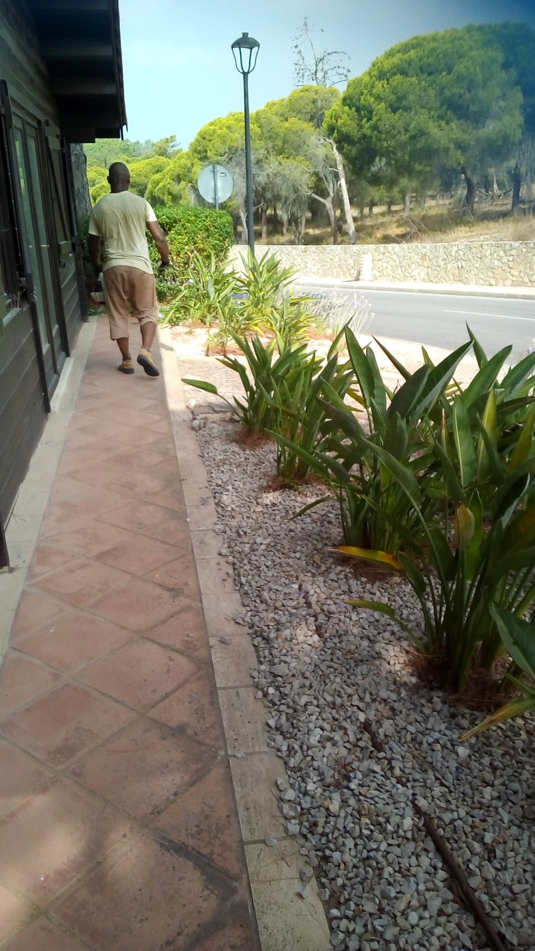 Manutenção de Jardim