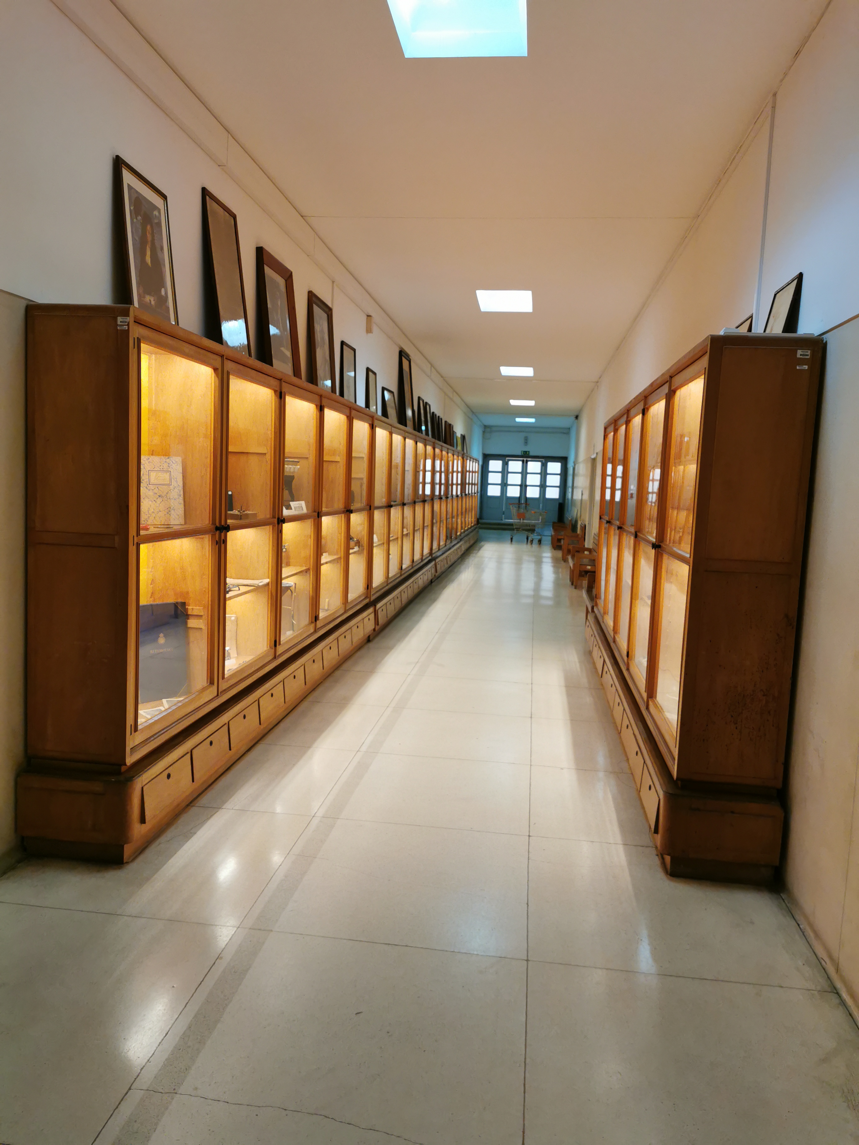 Exposição de Museu na FMUC