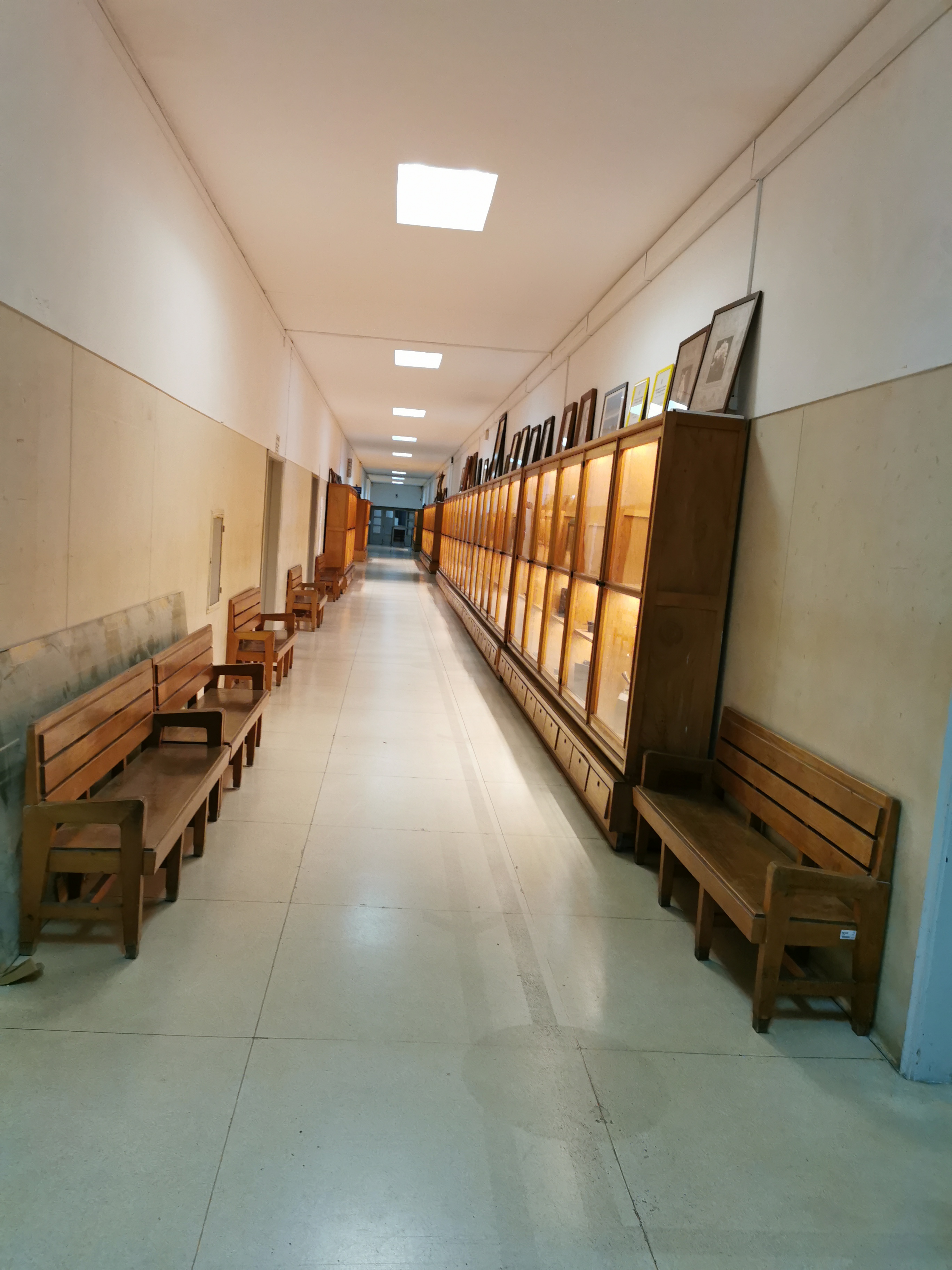 Museu na Faculdade de Medicina no Polo l