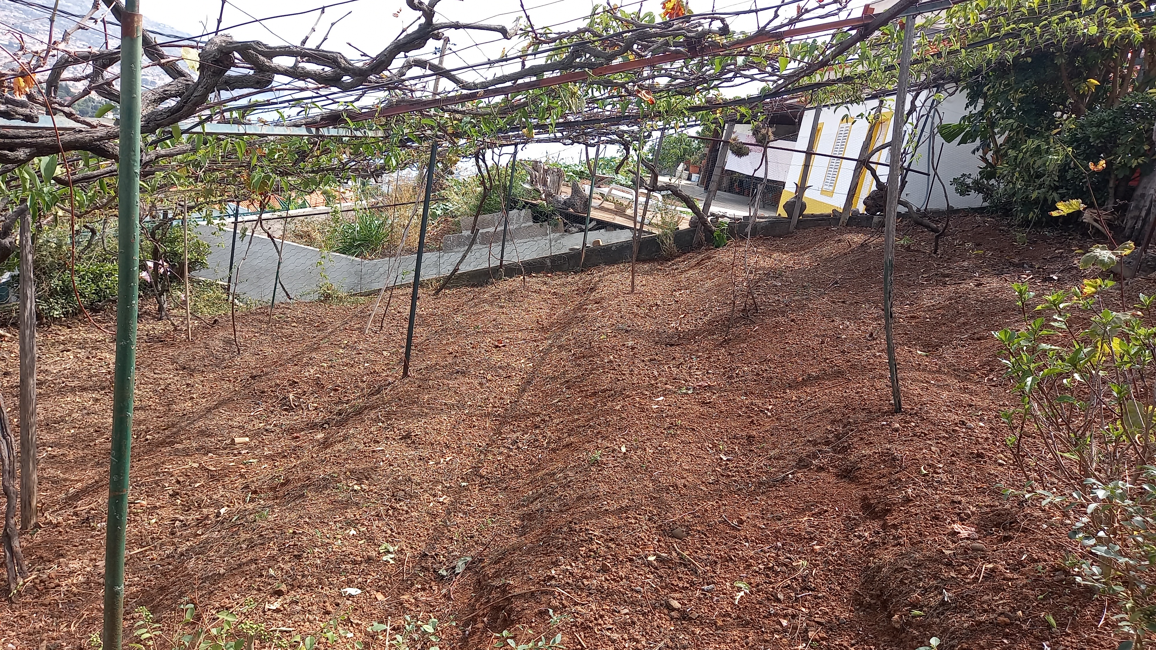 Limpeza terreno - Jardinagem