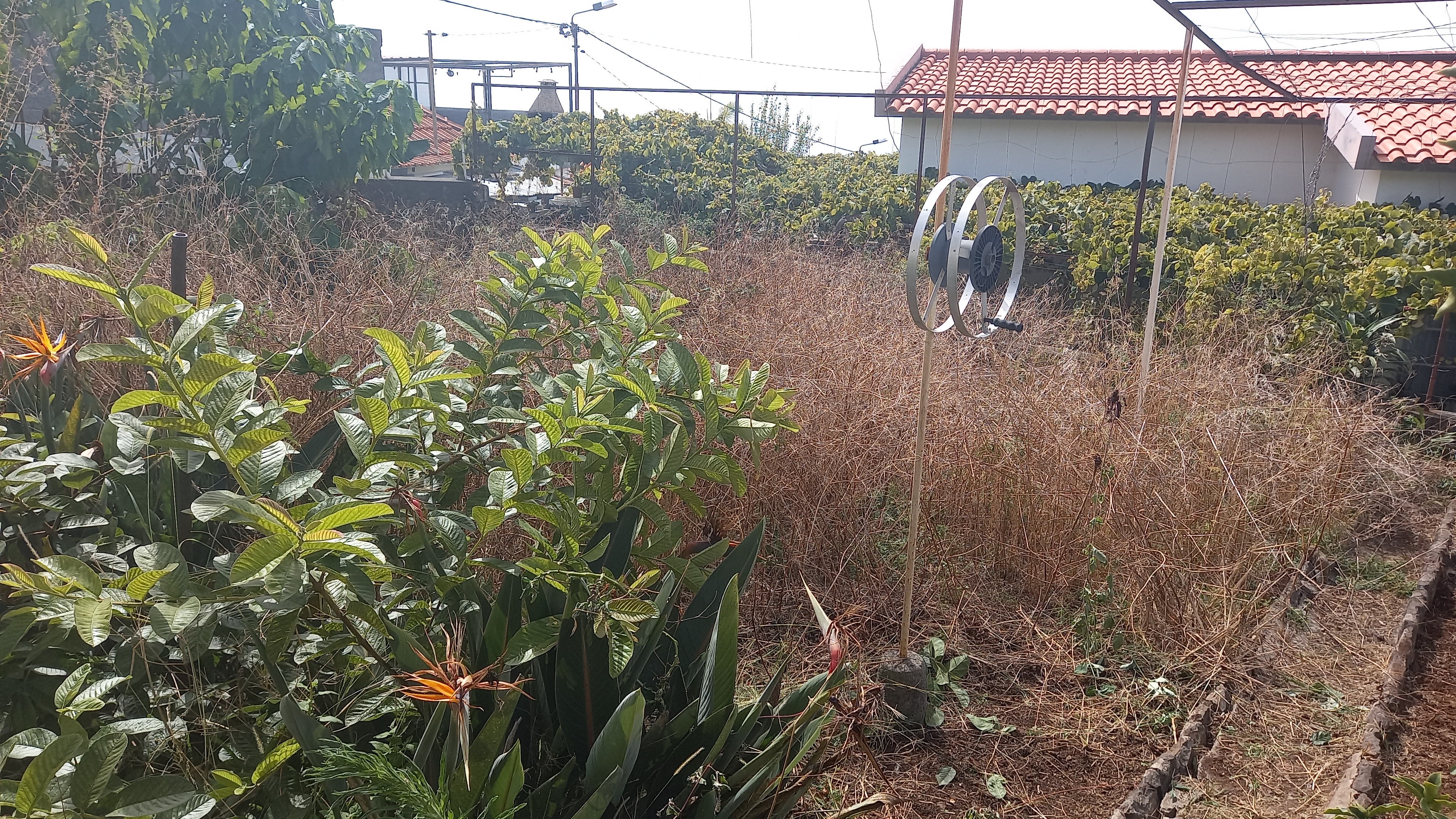 Limpeza terreno - Jardinagem