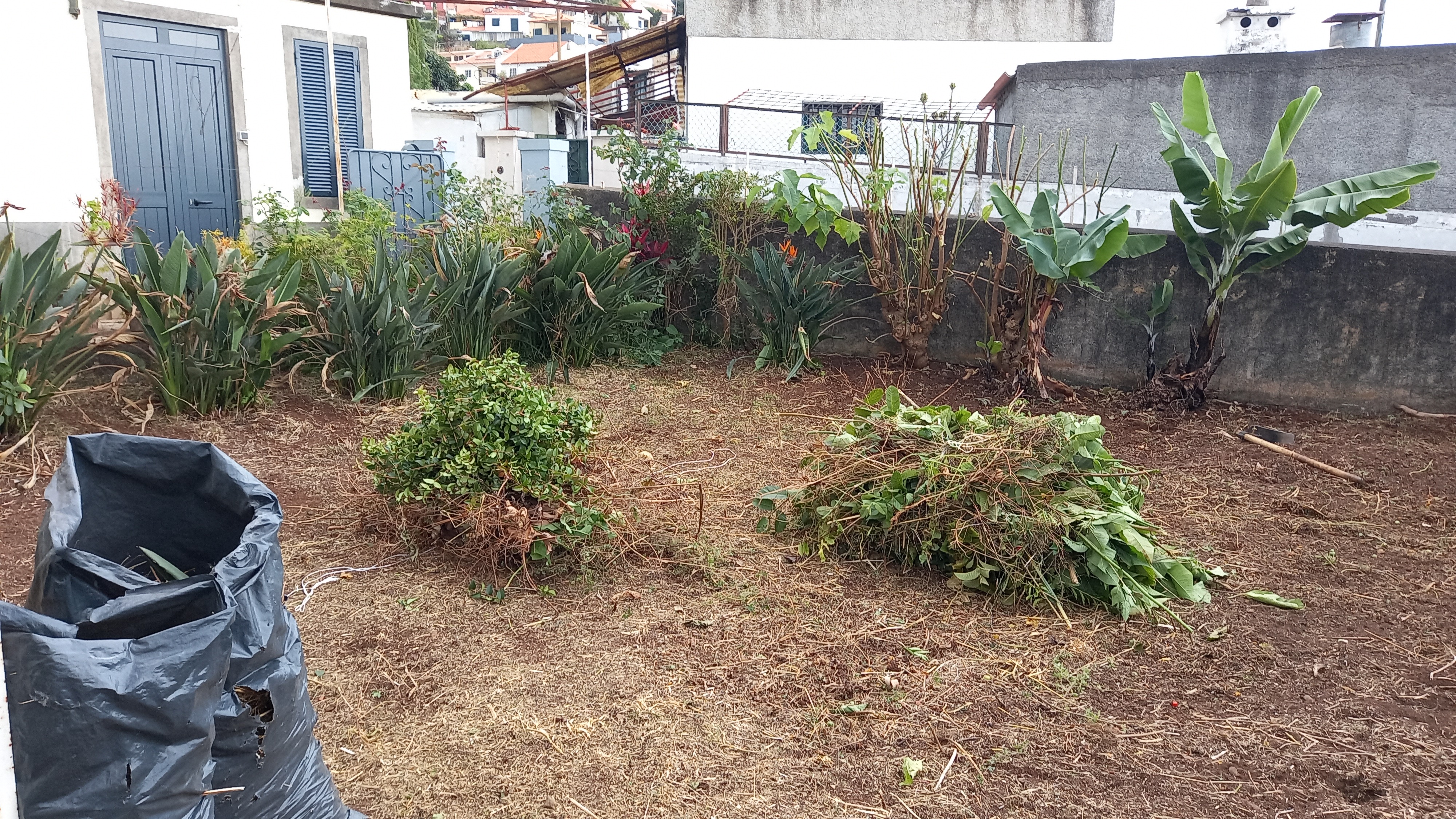 Limpeza terreno - Jardinagem