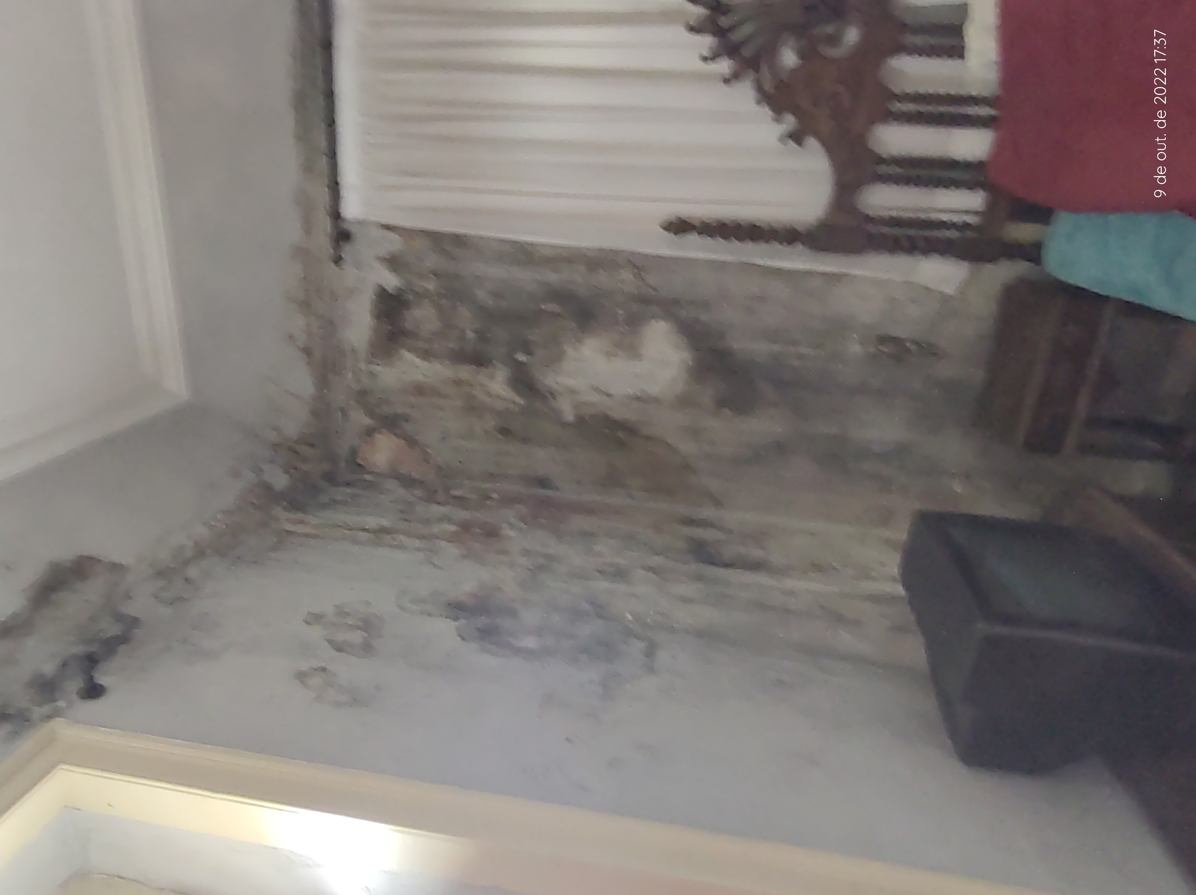 Mofo na parede Antes