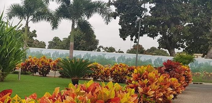 FOTOGRAFIA DE UM JARDIM