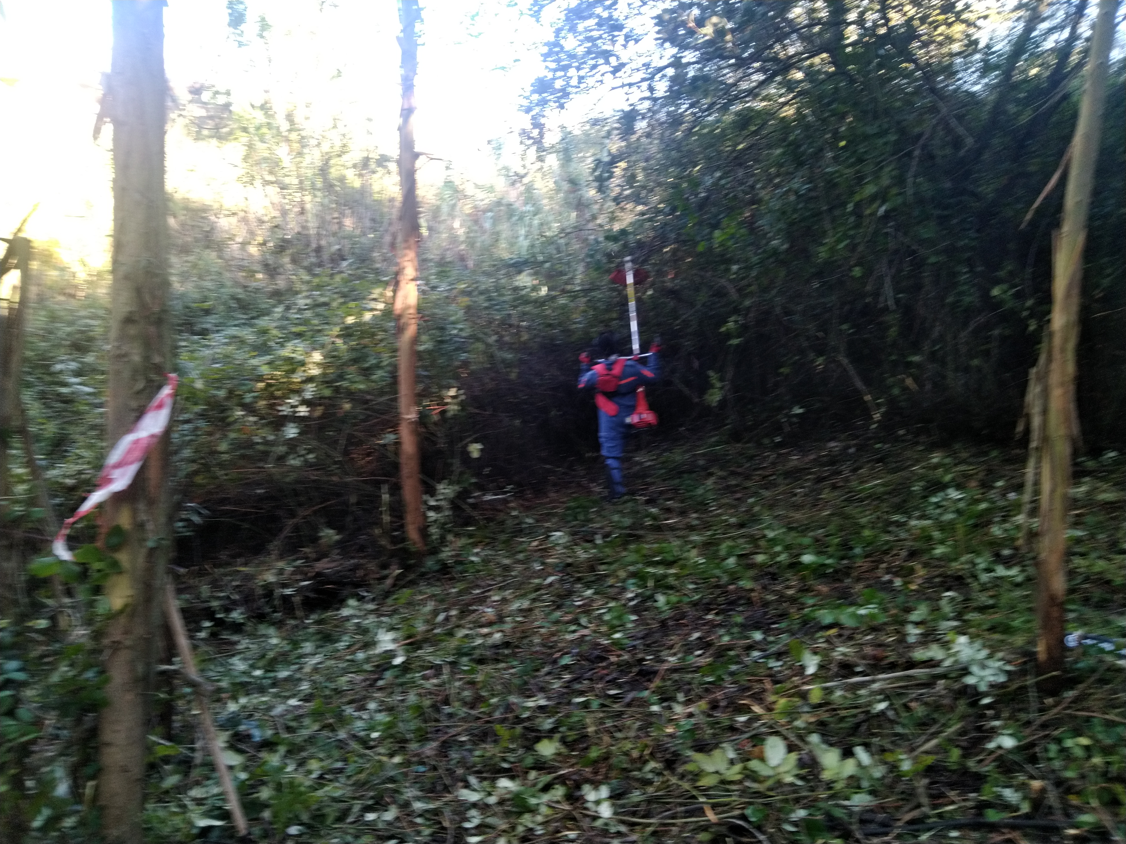 Limpeza de mato para localização de marcos