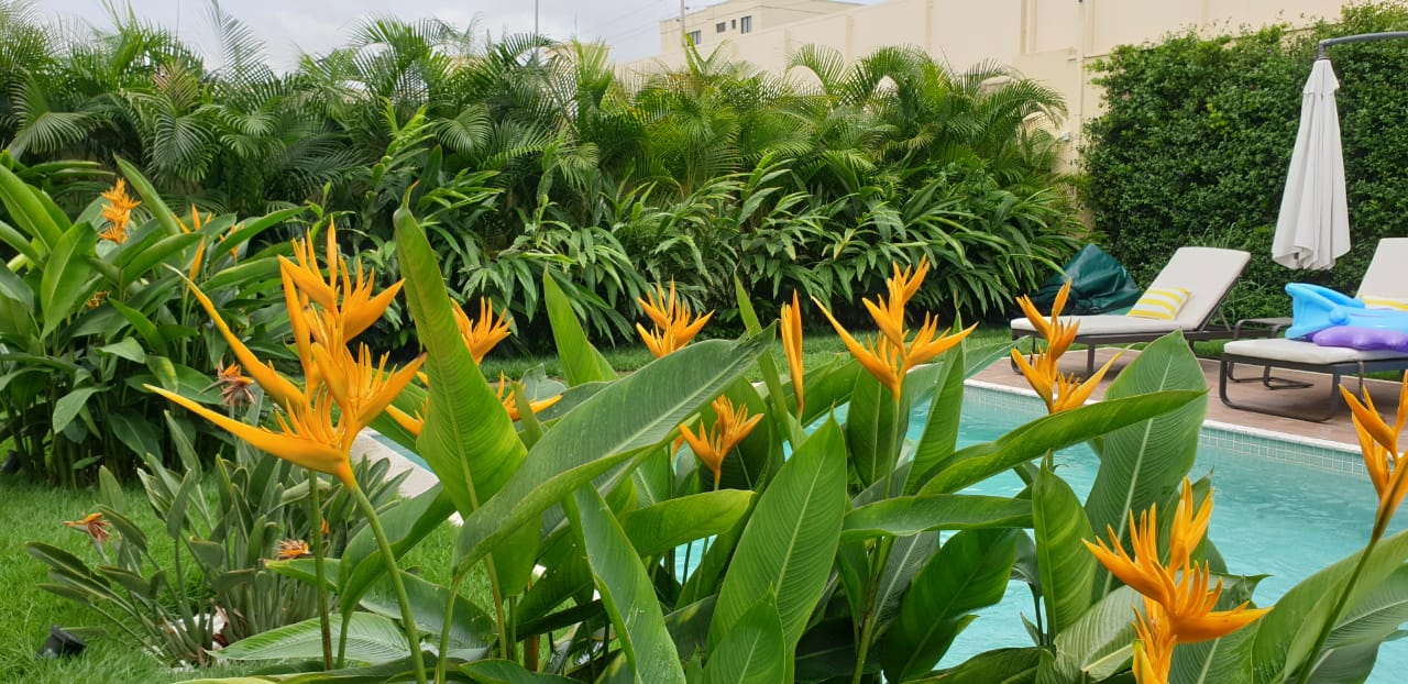 JARDIM NA ENVOLVENCIA DA PISCINA