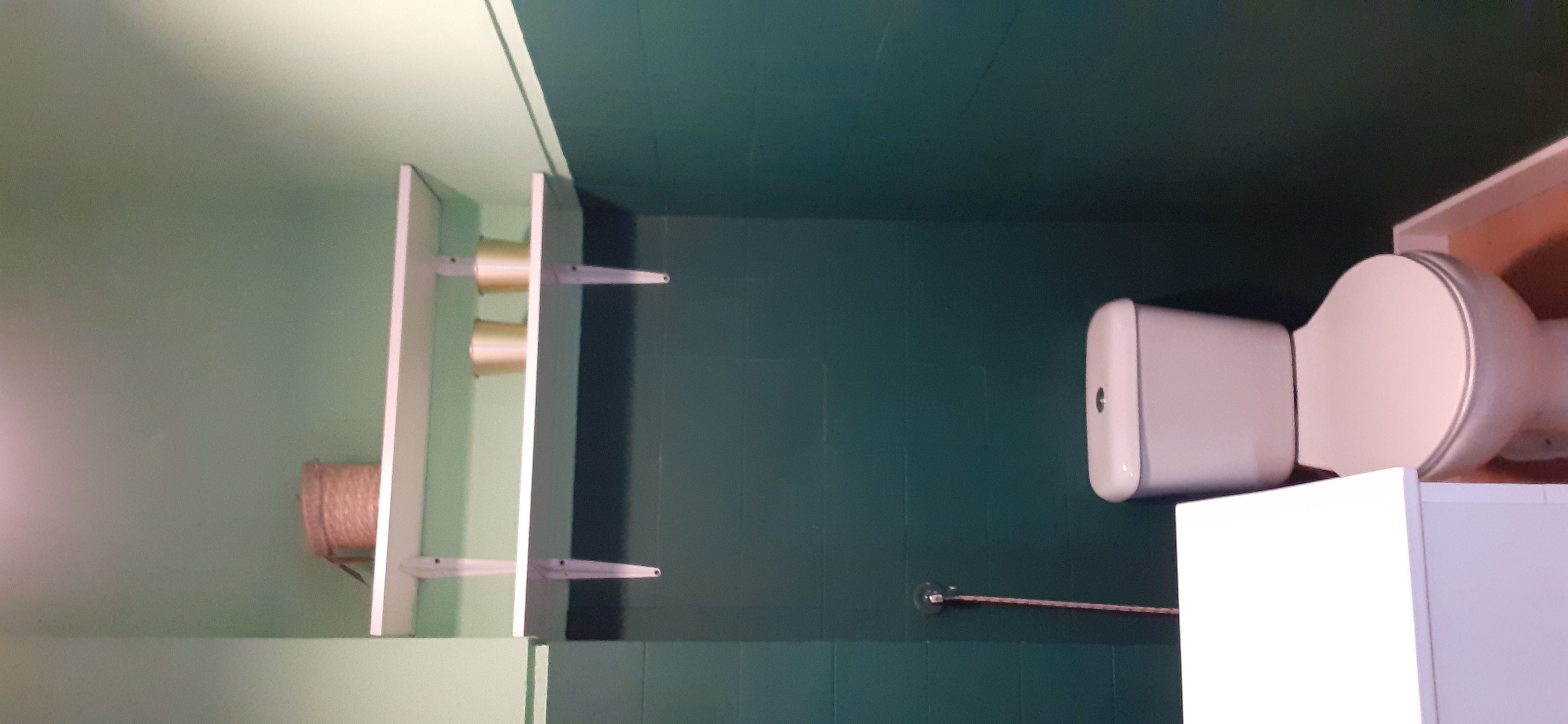 remodelação WC / casa de banho