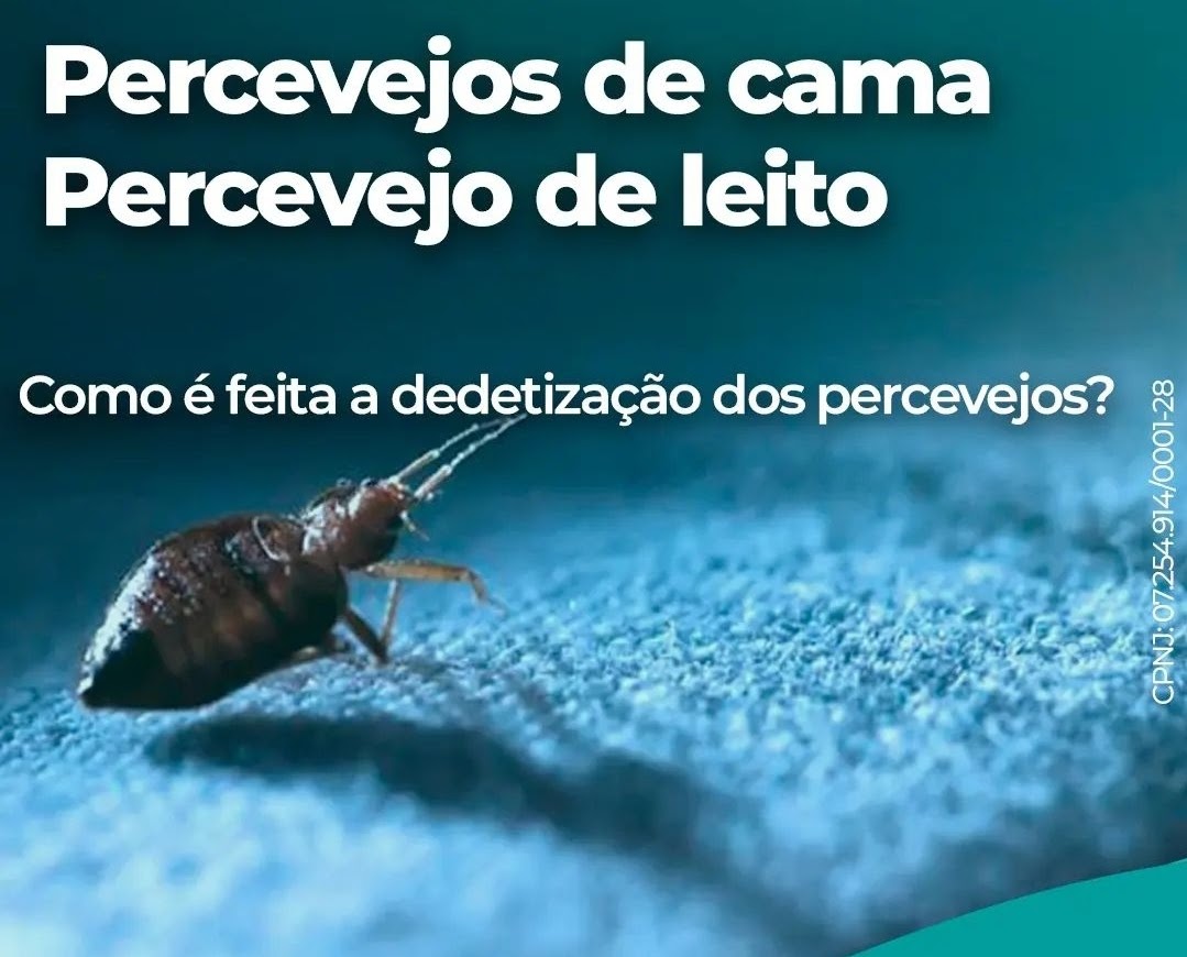 Percevejo de Leito ( Cama )