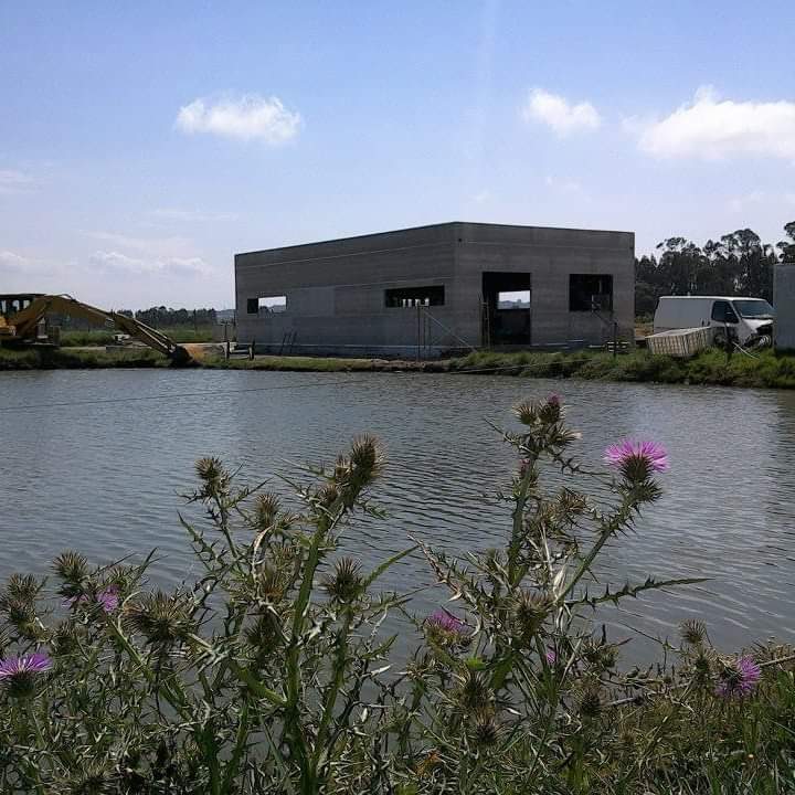 unidade de embalamento pescado