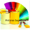 Pinturas Sapatinha