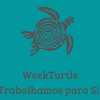 Weekturtle