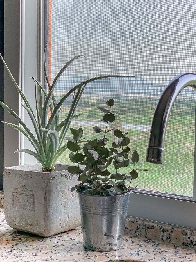 baldes como vaso de plantas