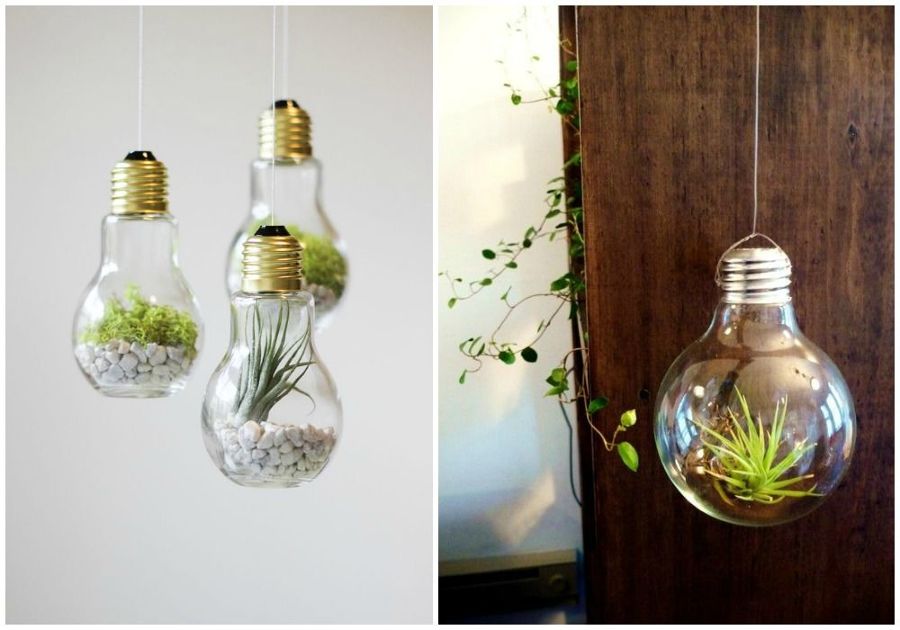 lâmpadas como vasos
