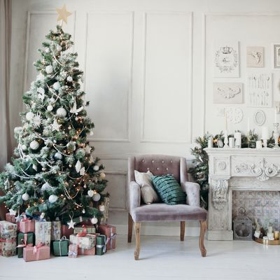 árvore de natal sustentável