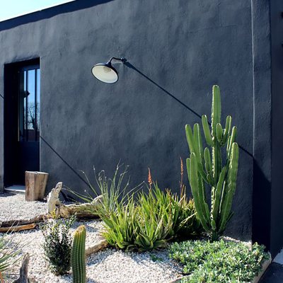 A moda dos cactos, no exterior