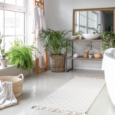 Samambaias na casa de banho