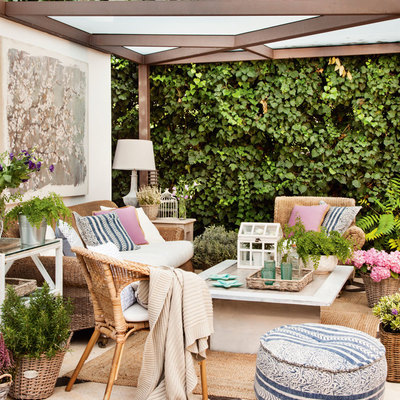 Trepadeiras para o jardim