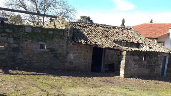 Podem ajudar-me com um telhado a reformar?